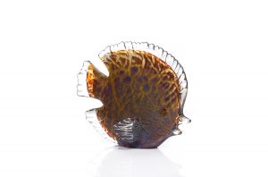Декоративна фигура риба Stars Home, Стъкло, 6 х 15 х 19 см